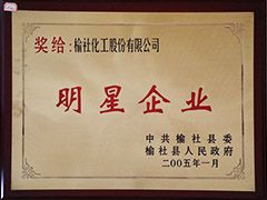 2005年榆社縣明星企業(yè)